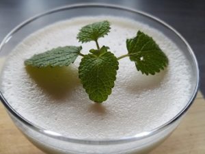 Protein Dessert, Protein Pudding